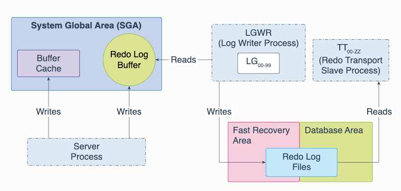 db-sga